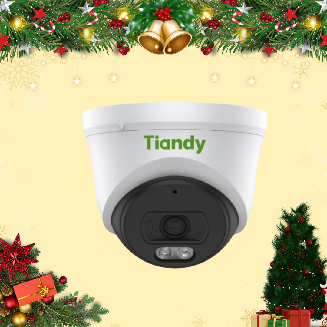 CAMERA IP DOME HỒNG NGOẠI 2.0MP TC-C32XN (V4.2)