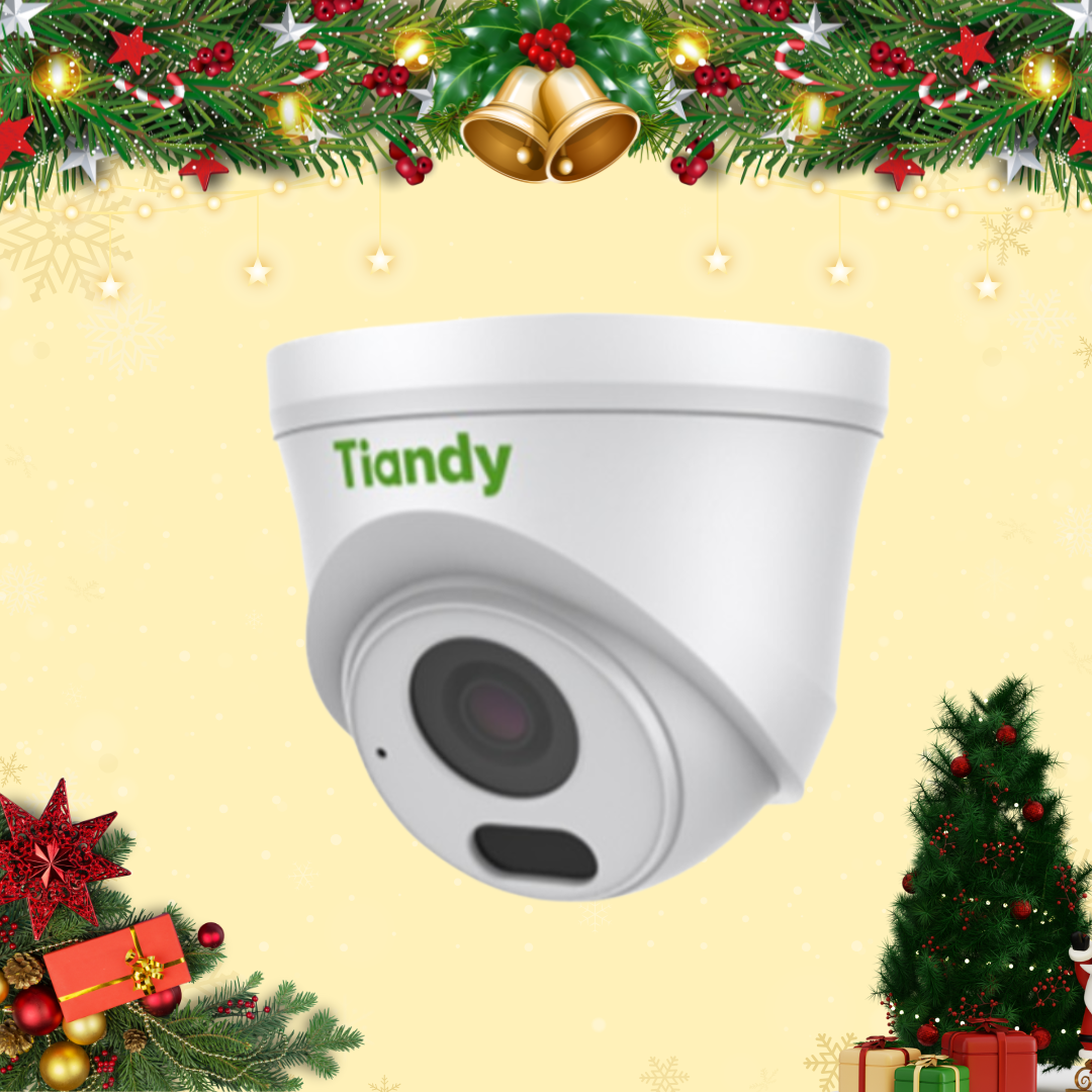 CAMERA IP DOME HỒNG NGOẠI TIANDY 2.0MP TC-C32HS (V4.2)