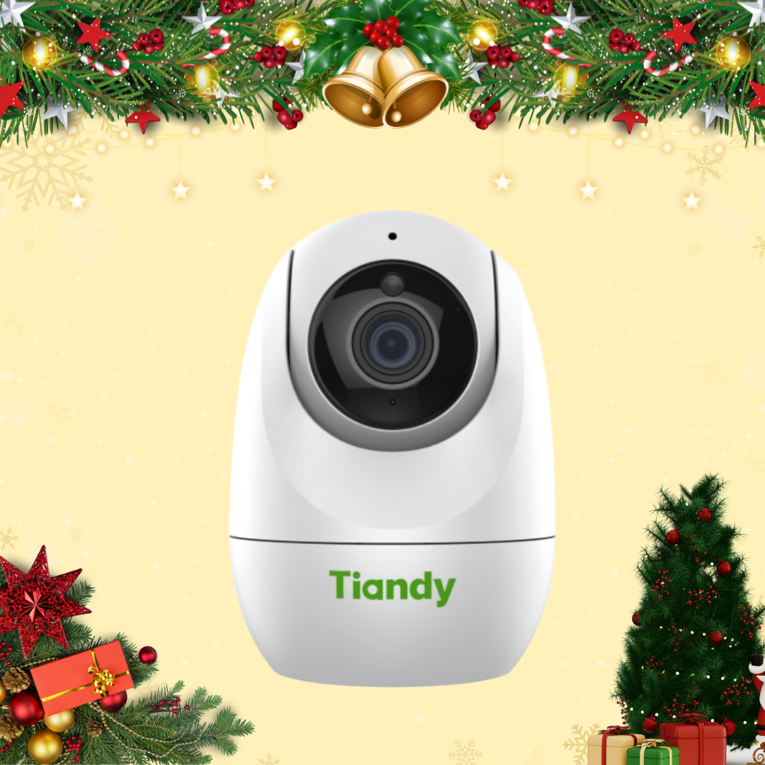 CAMERA WIFI TIANDY TC-H322N