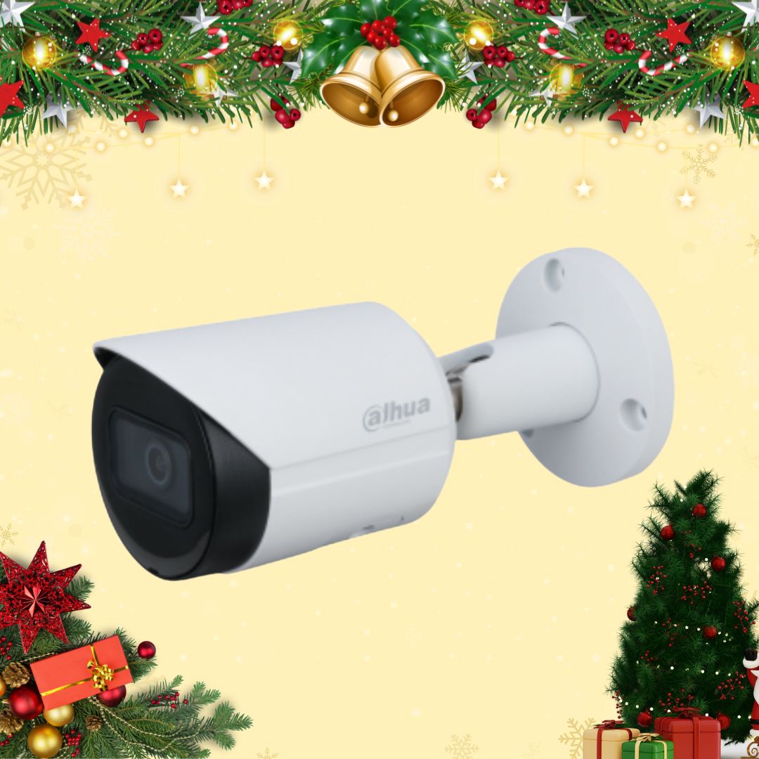 CAMERA IPC DAS-BNWS44S-S3