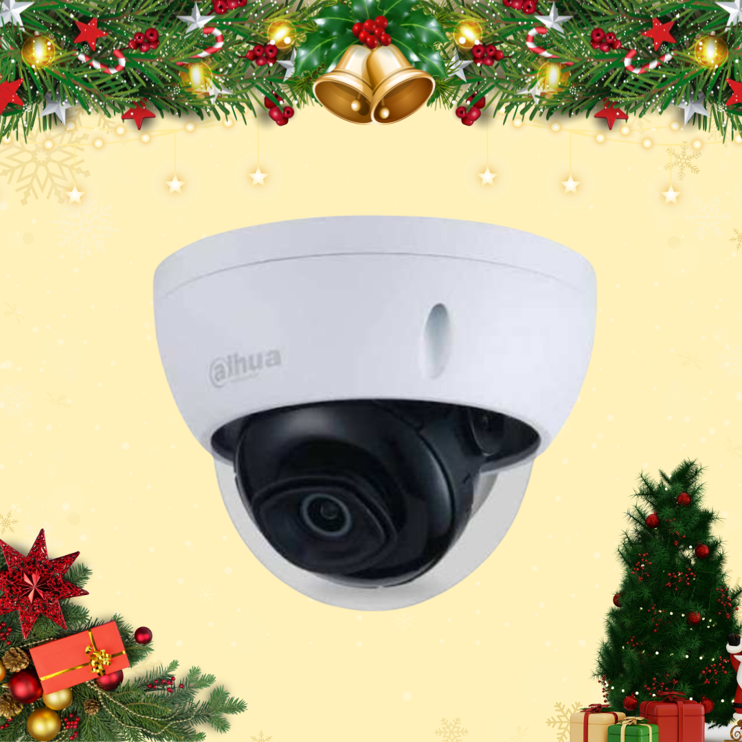 MODEL DAS-DBNWS44E-S3